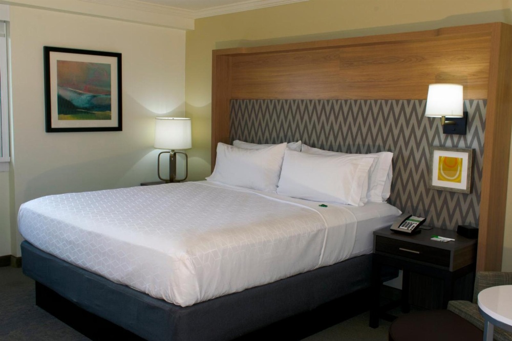 Holiday Inn Binghamton-Downtown Hawley Street Main image