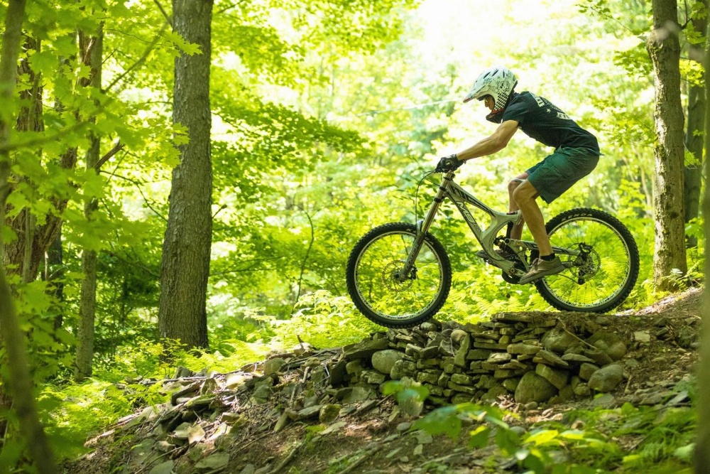 Holiday Inn Binghamton-Downtown Hawley Street